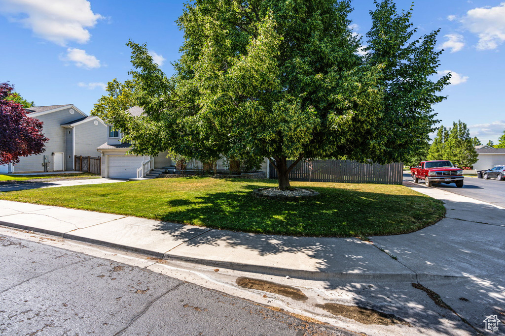 View of property hidden behind natural elements with a garage and a front yard