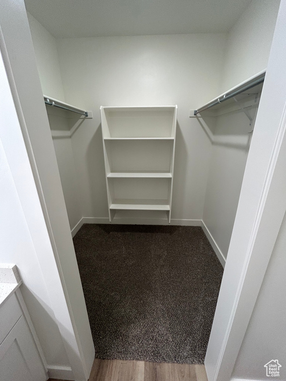 Spacious closet featuring hardwood / wood-style floors