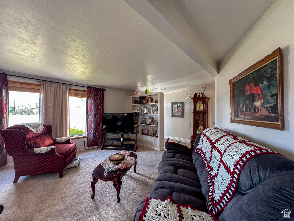 Living room with carpet floors and a textured ceiling