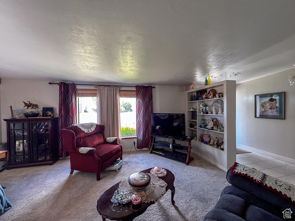 Carpeted living room with a textured ceiling