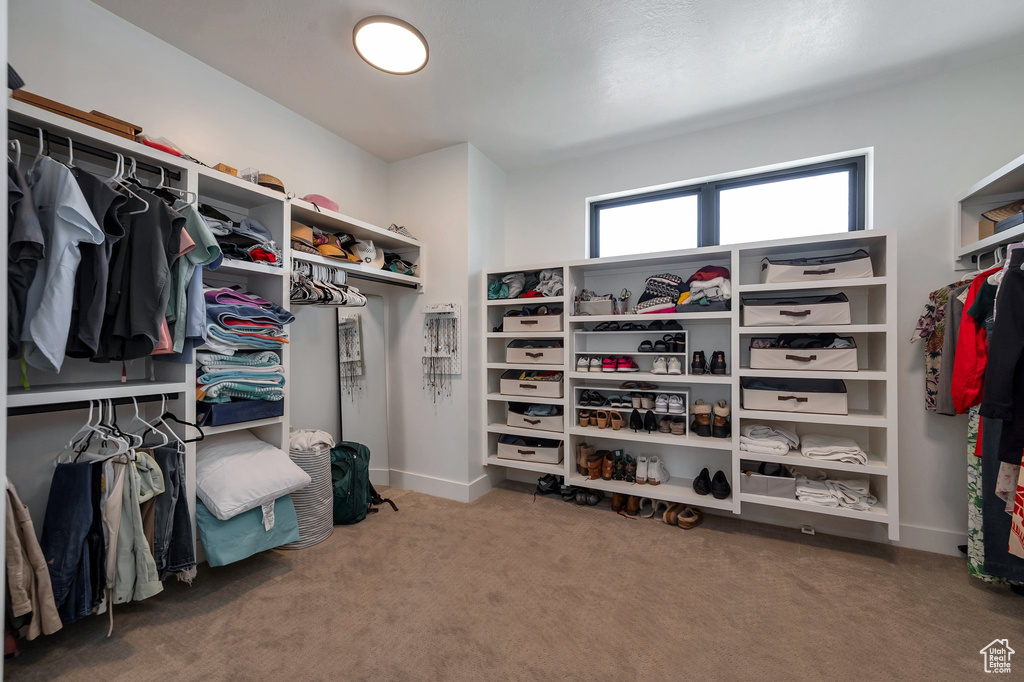 Walk in closet featuring carpet