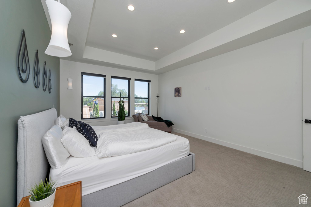 Bedroom with carpet and a raised ceiling