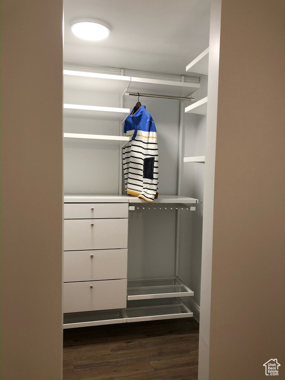 Walk in closet featuring dark wood-type flooring