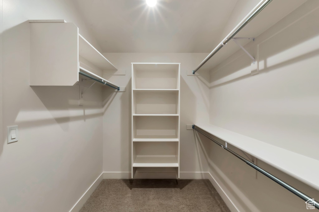 Spacious closet with carpet flooring