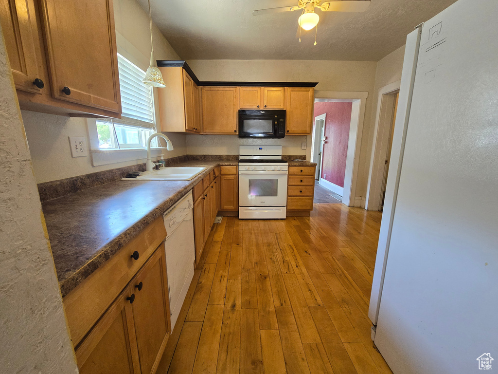 Kitchen featuring light hardwood / wood-style flooring, ceiling fan, white appliances, and decorative light fixtures