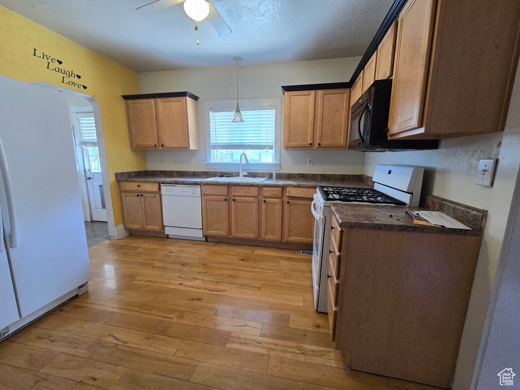 Kitchen with white appliances, sink, decorative light fixtures, light wood-type flooring, and ceiling fan