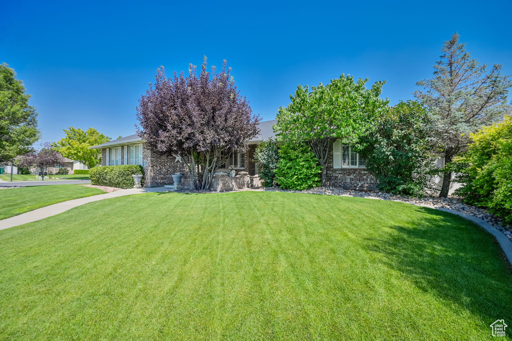 View of front of house featuring a front yard