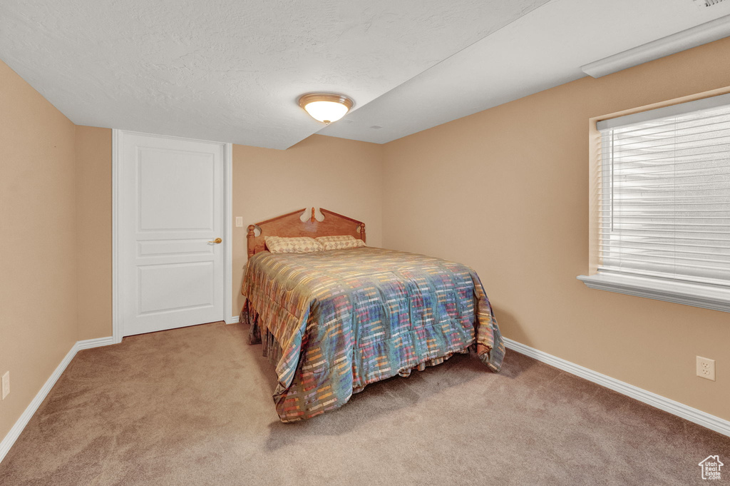 Carpeted bedroom featuring multiple windows