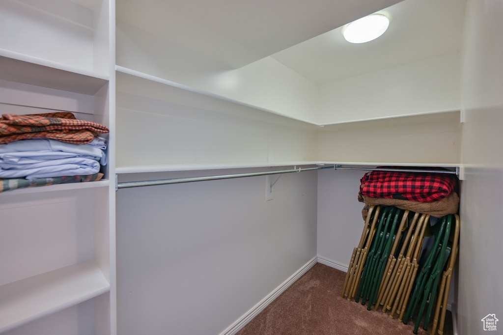 Walk in closet featuring carpet floors