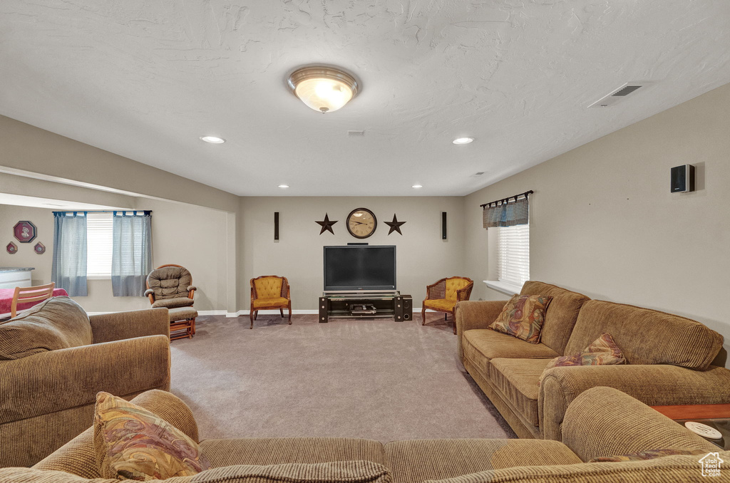 Living room featuring carpet