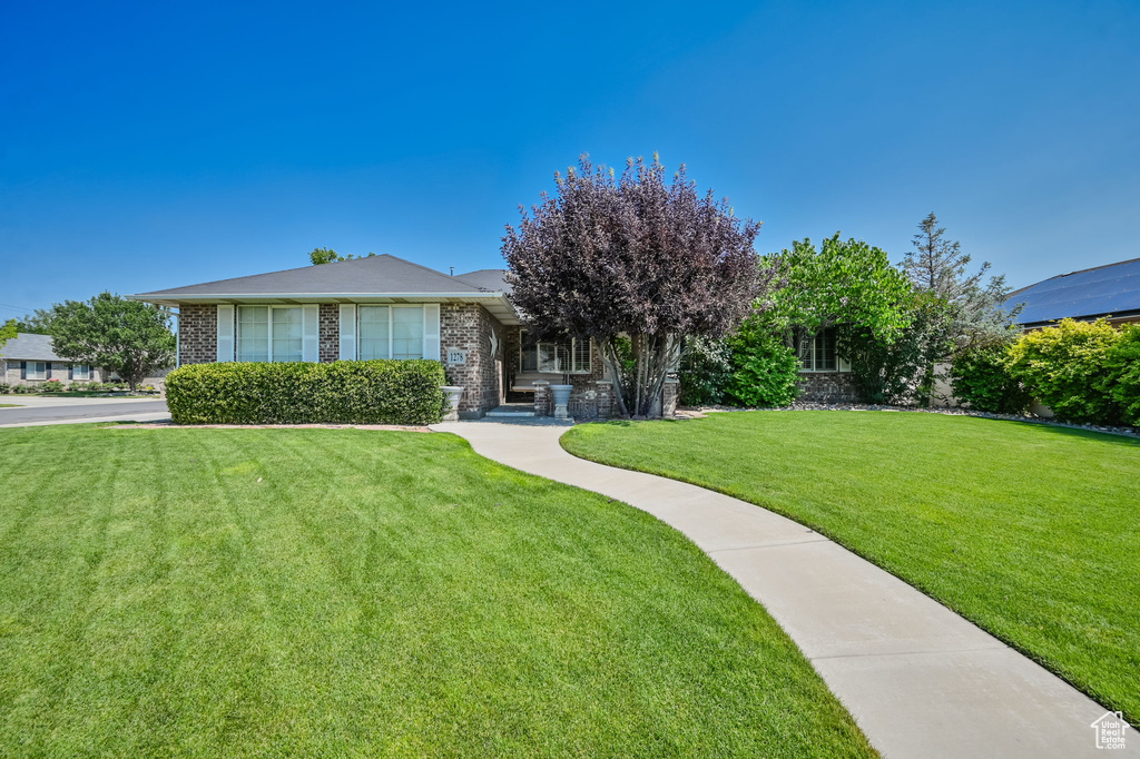 View of front of home with a front yard