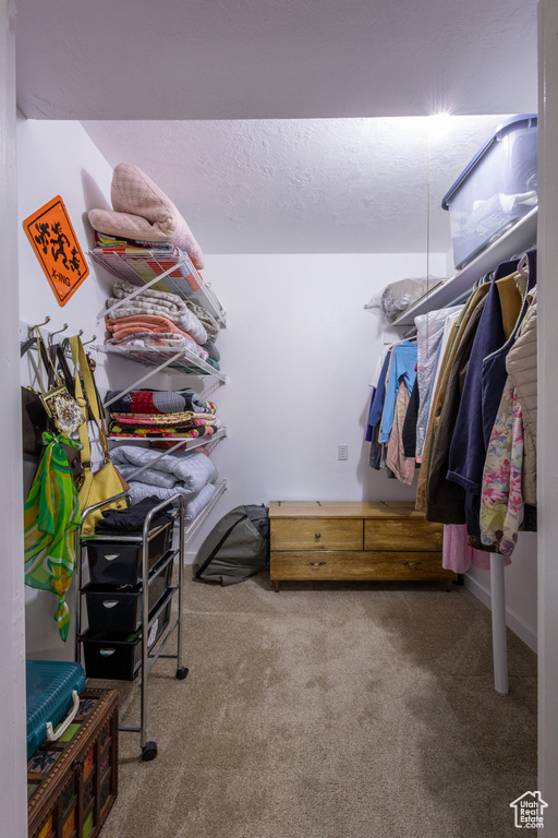 Spacious closet featuring carpet floors