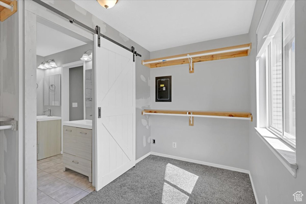 Walk in closet with sink, a barn door, electric panel, and light colored carpet