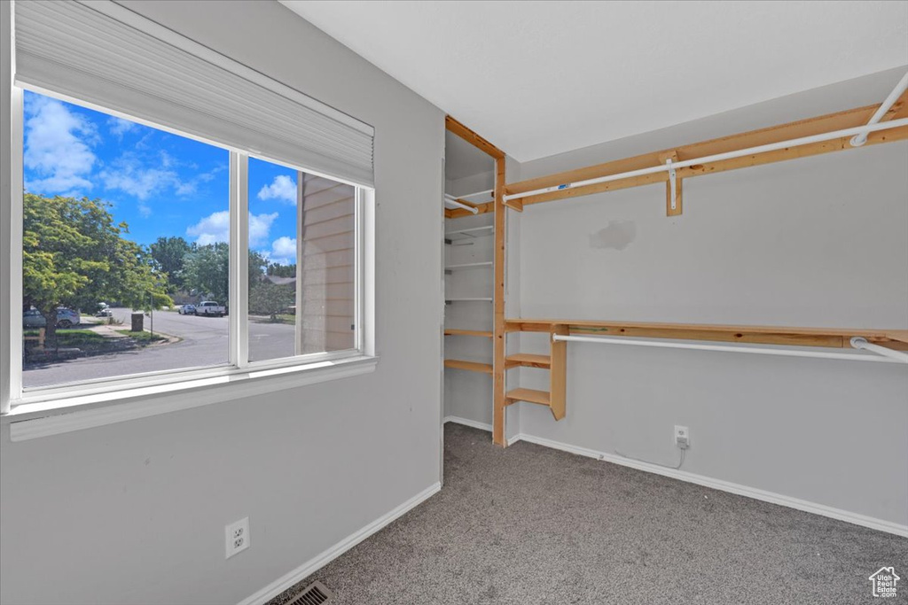 Spacious closet featuring carpet flooring