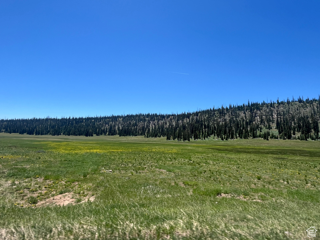 View of landscape