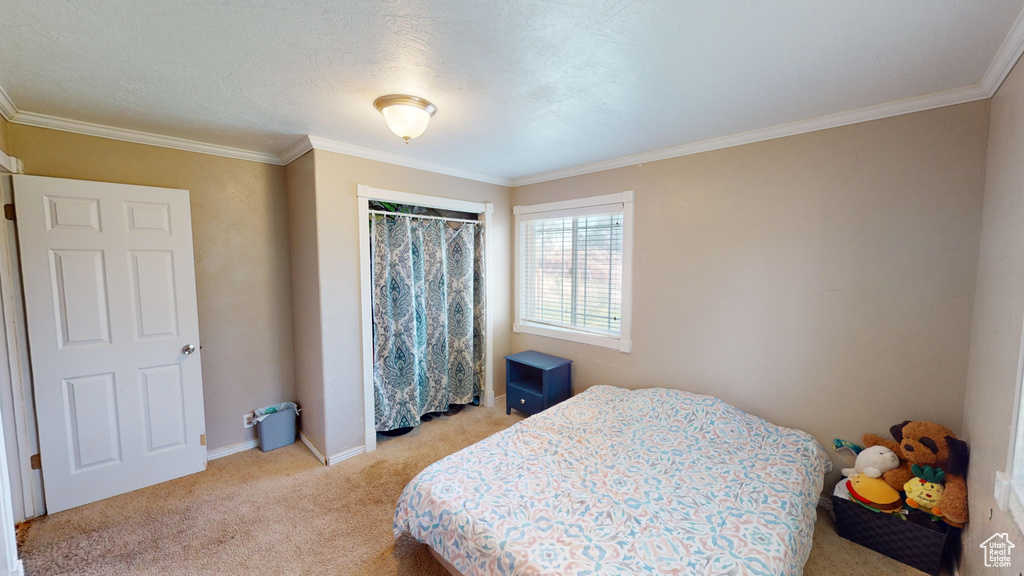 Bedroom featuring light carpet and ornamental molding