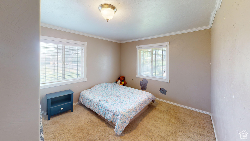 Bedroom with light colored carpet and ornamental molding