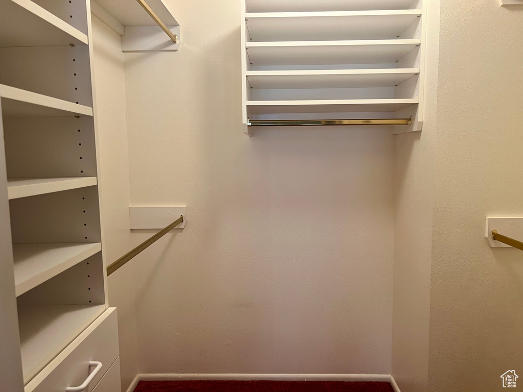 View of walk in closet