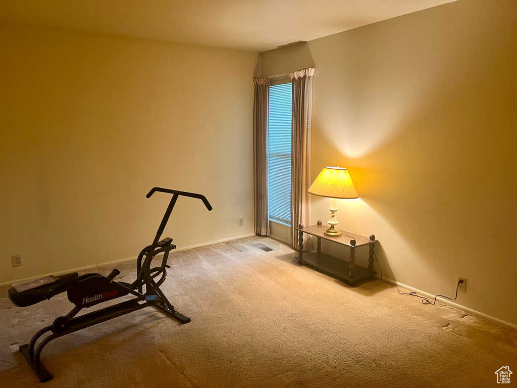 Exercise area featuring a healthy amount of sunlight and carpet floors