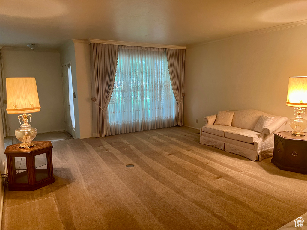 Carpeted living room with crown molding