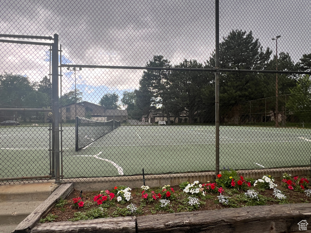 View of sport court