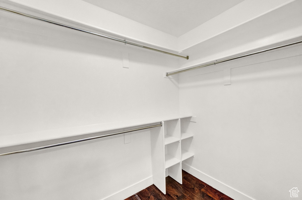 Spacious closet with dark wood-type flooring