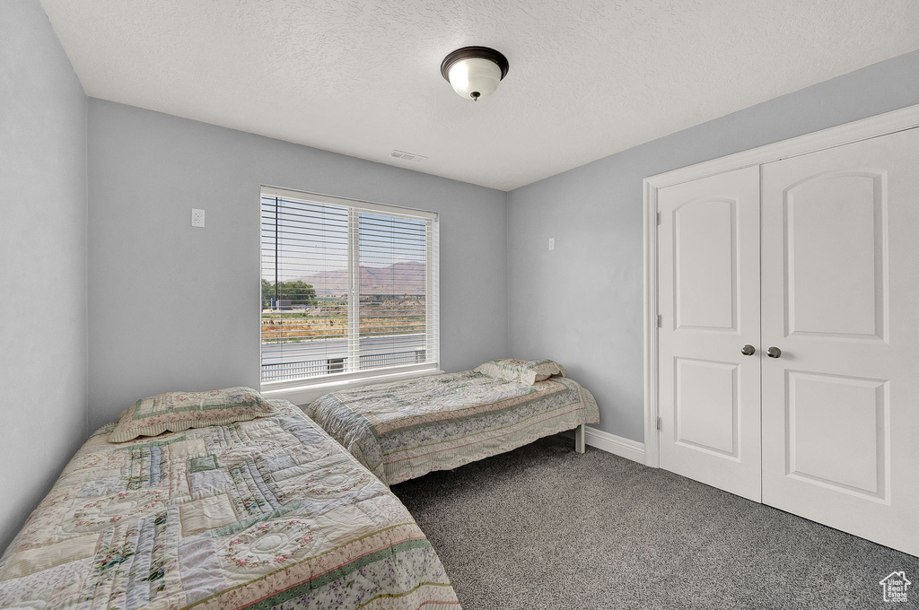 Carpeted bedroom with a closet and a textured ceiling