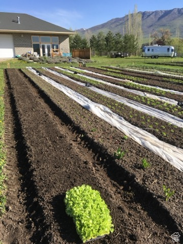 View of yard with a mountain view, a rural view, and a garage