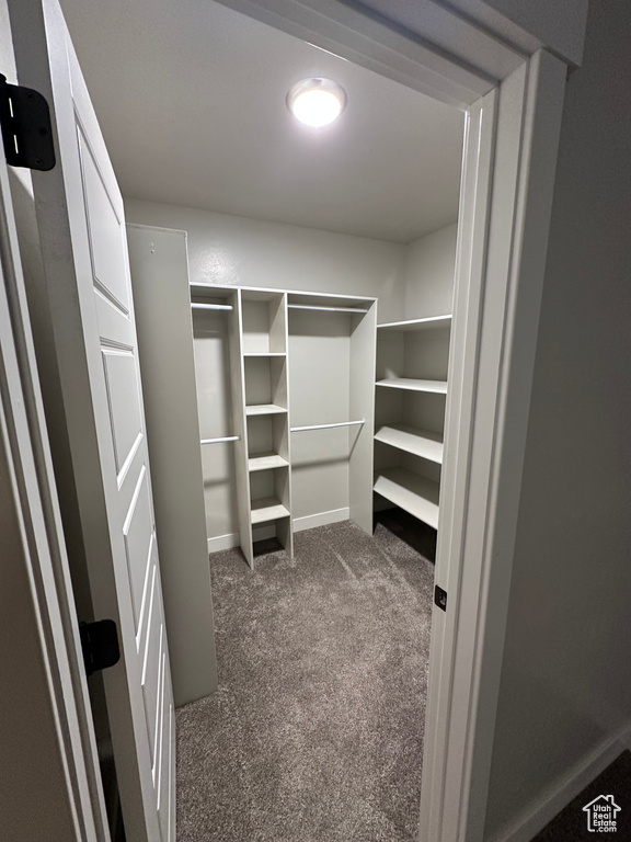 Spacious closet with dark colored carpet