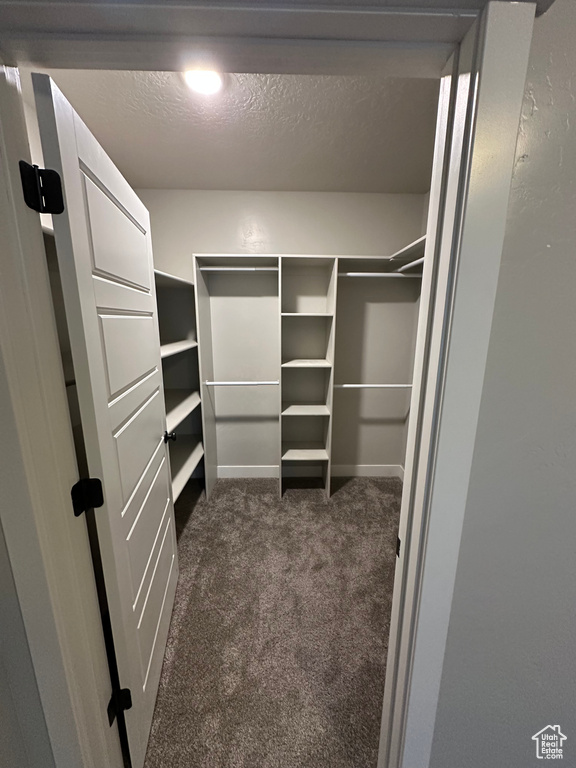 Walk in closet featuring dark carpet