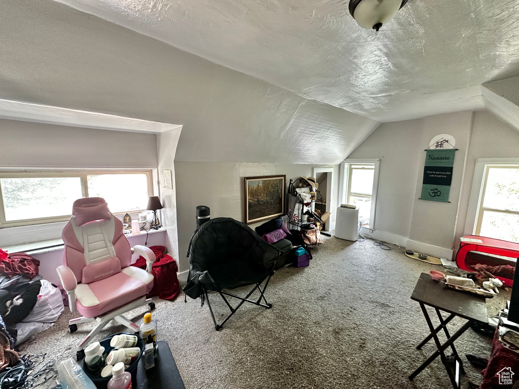 Interior space with vaulted ceiling, a textured ceiling, and carpet floors