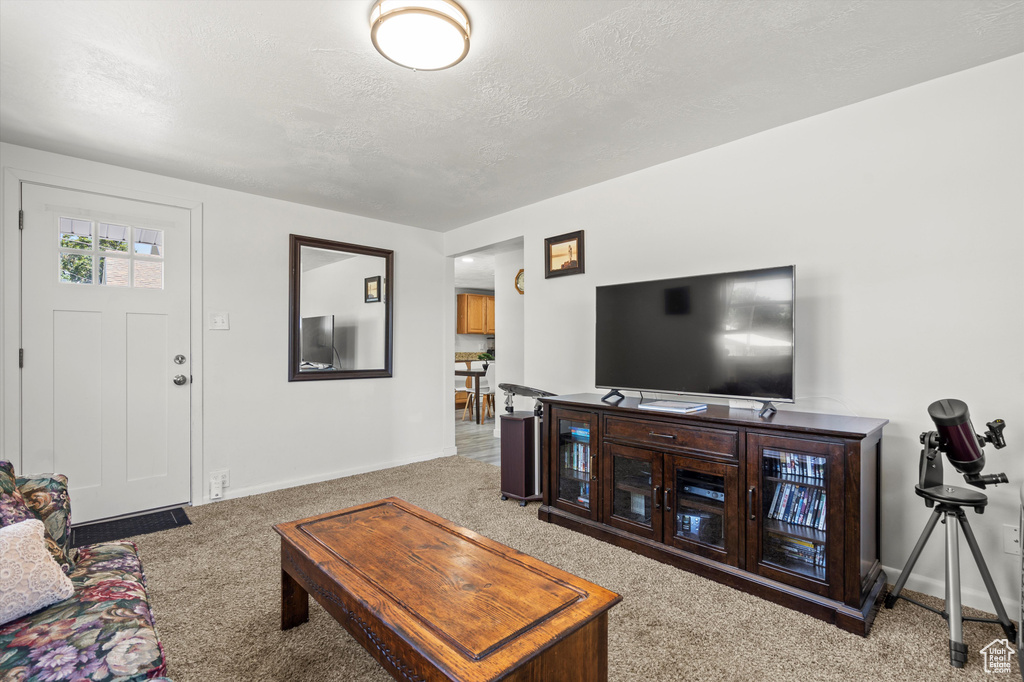 Living room featuring carpet