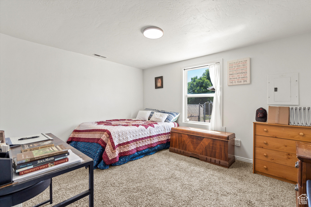 Carpeted bedroom with electric panel