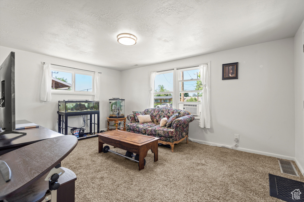 Living room with carpet floors and a textured ceiling