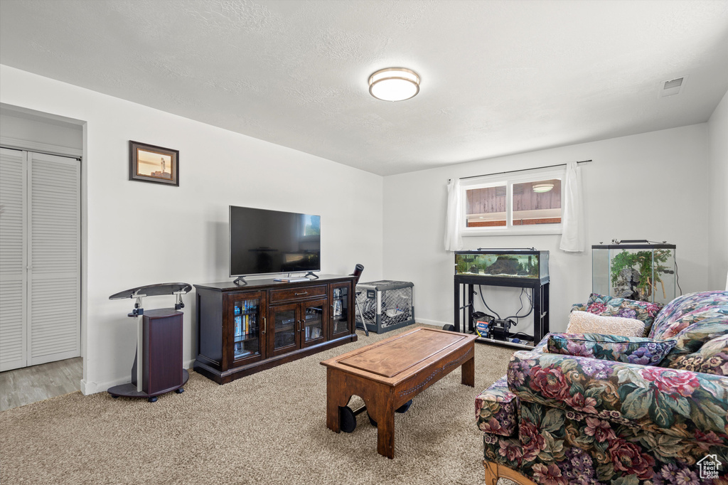 Living room featuring carpet