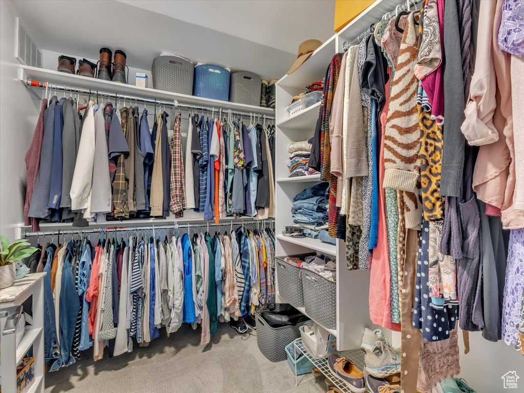 Walk in closet with carpet flooring