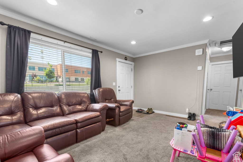 Carpeted living room featuring crown molding