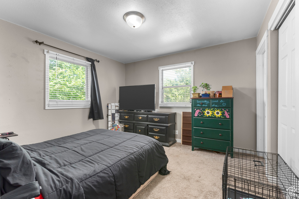 Bedroom featuring light colored carpet