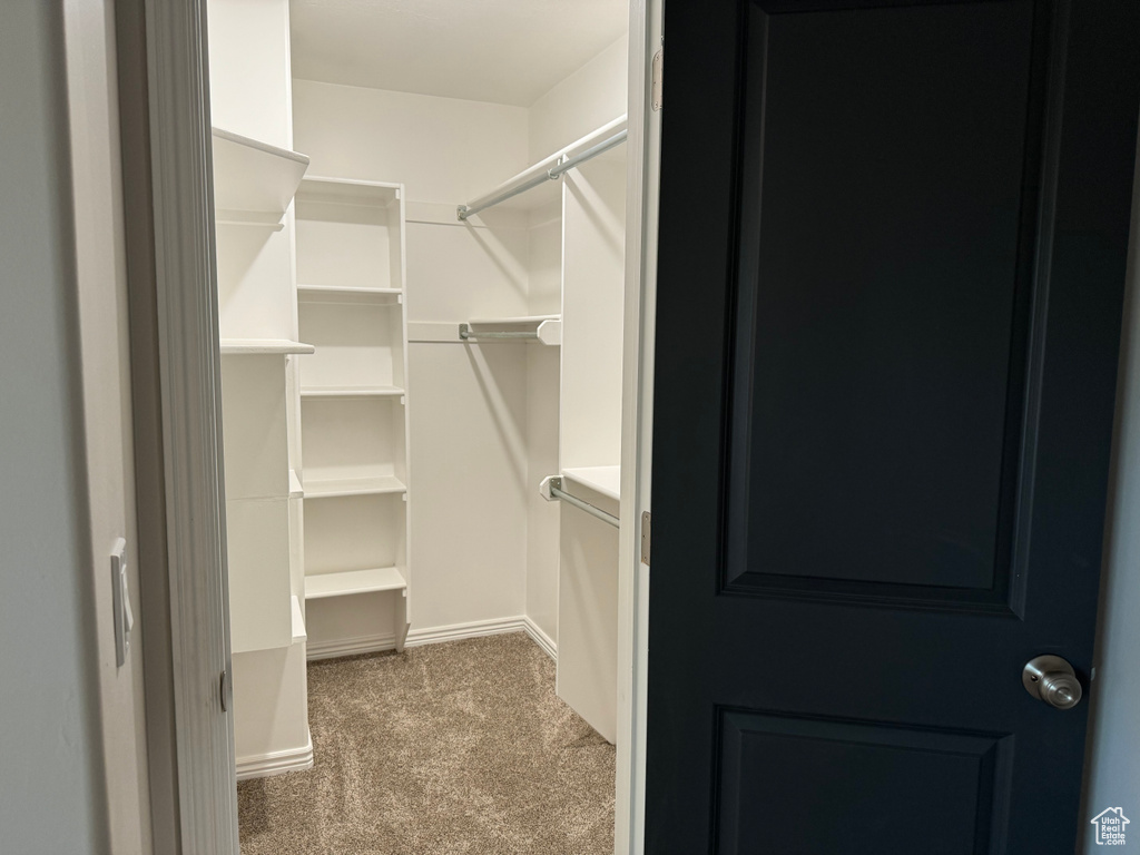 Spacious closet with carpet flooring