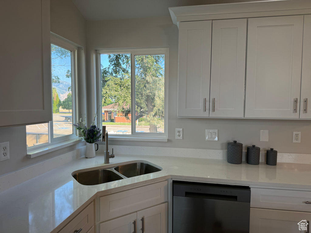 Kitchen with dishwasher and a healthy amount of sunlight