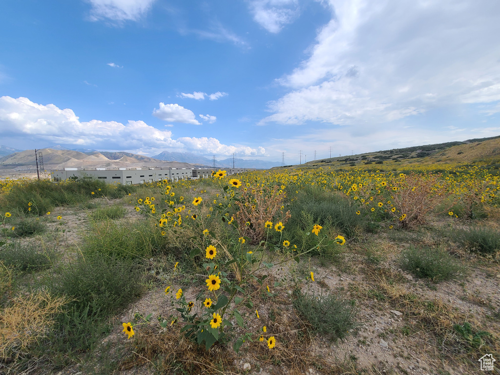 View of nature featuring a mountain view