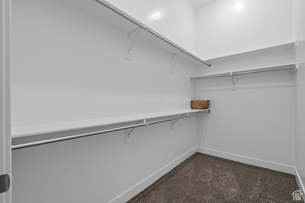 Spacious closet with carpet