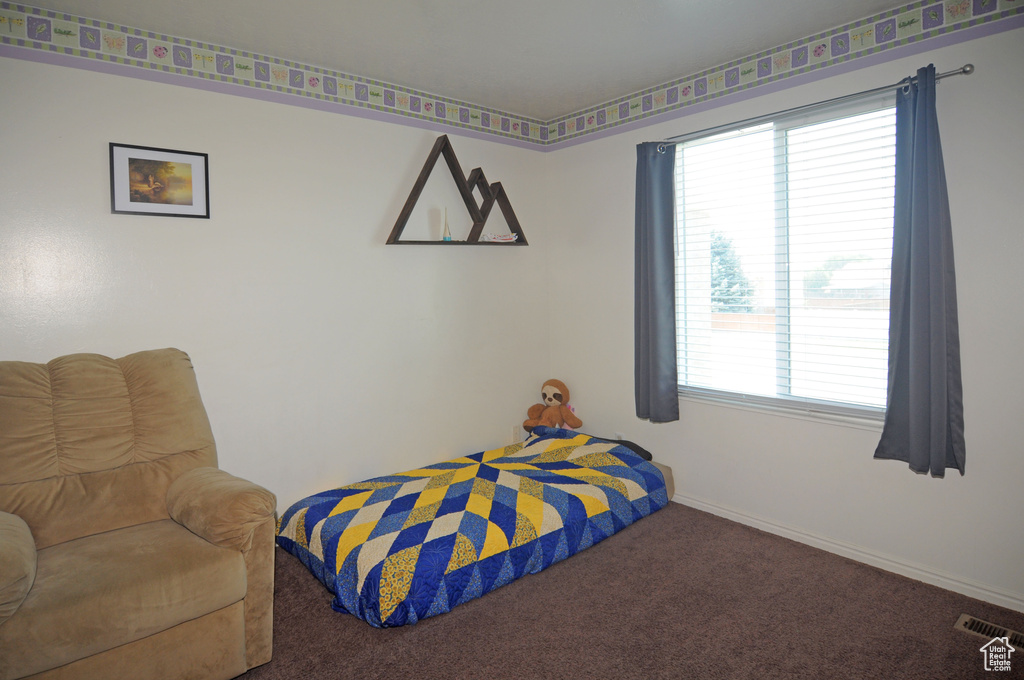 Carpeted bedroom featuring multiple windows