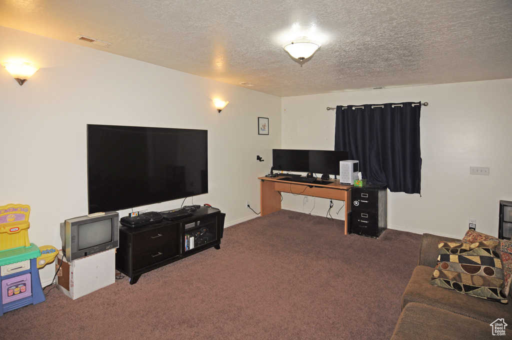 Living room with carpet and a textured ceiling