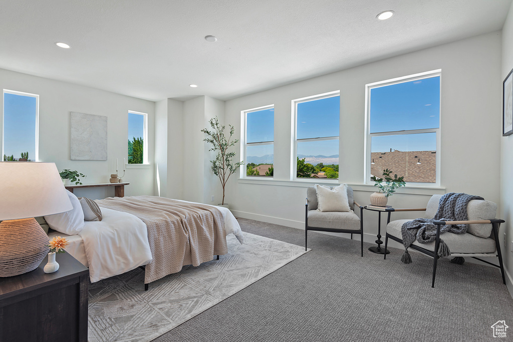 Bedroom featuring multiple windows and carpet floors