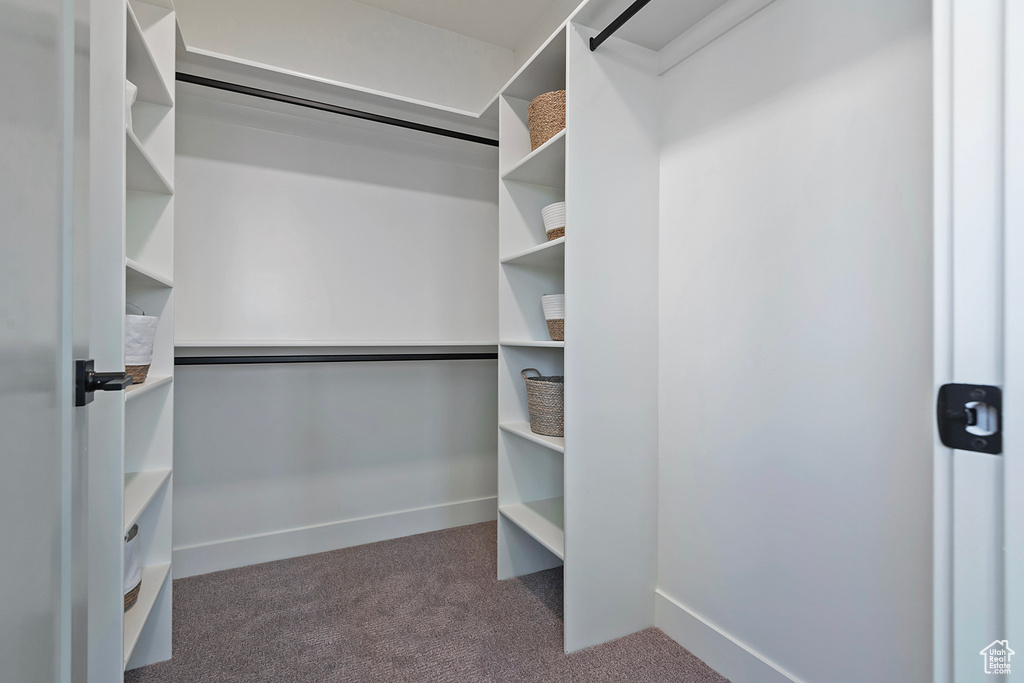 Walk in closet with dark carpet