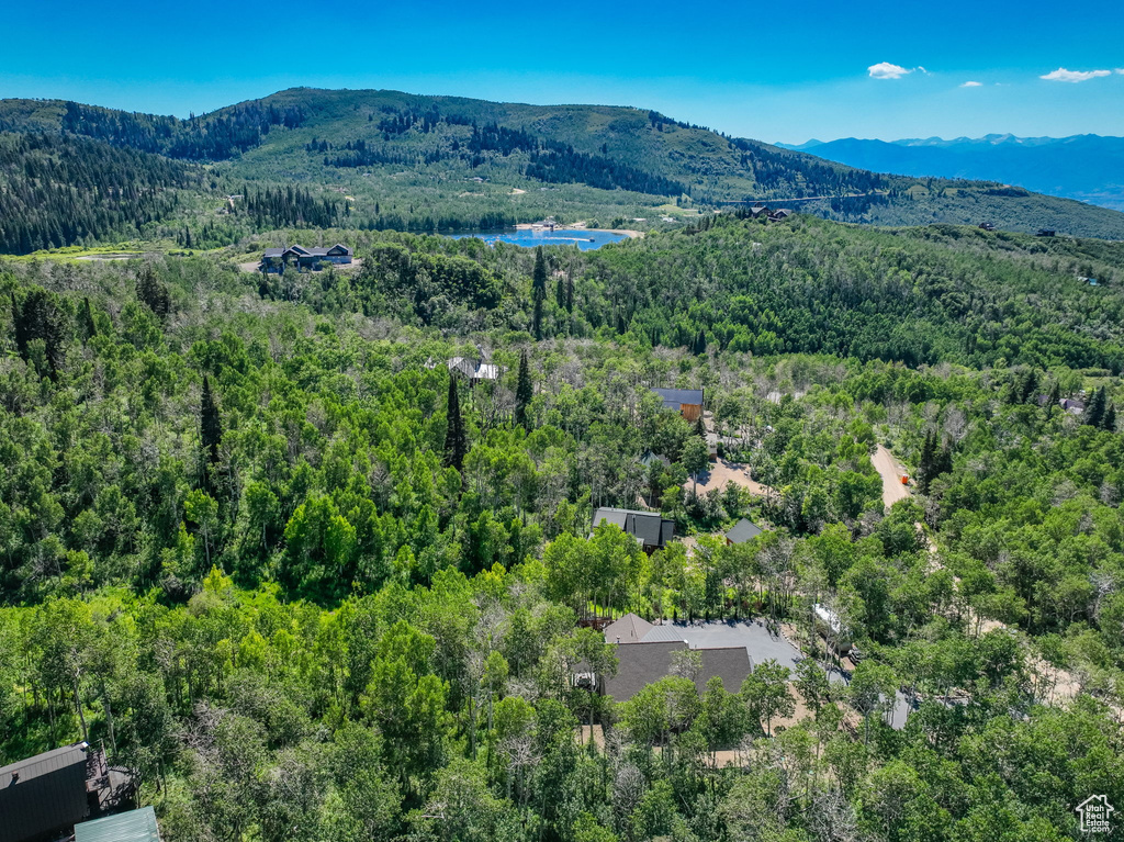 Aerial view with a mountain view