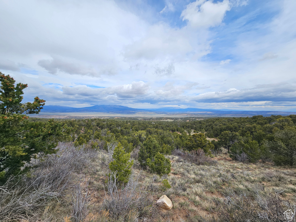 Mountain view with a wooded view