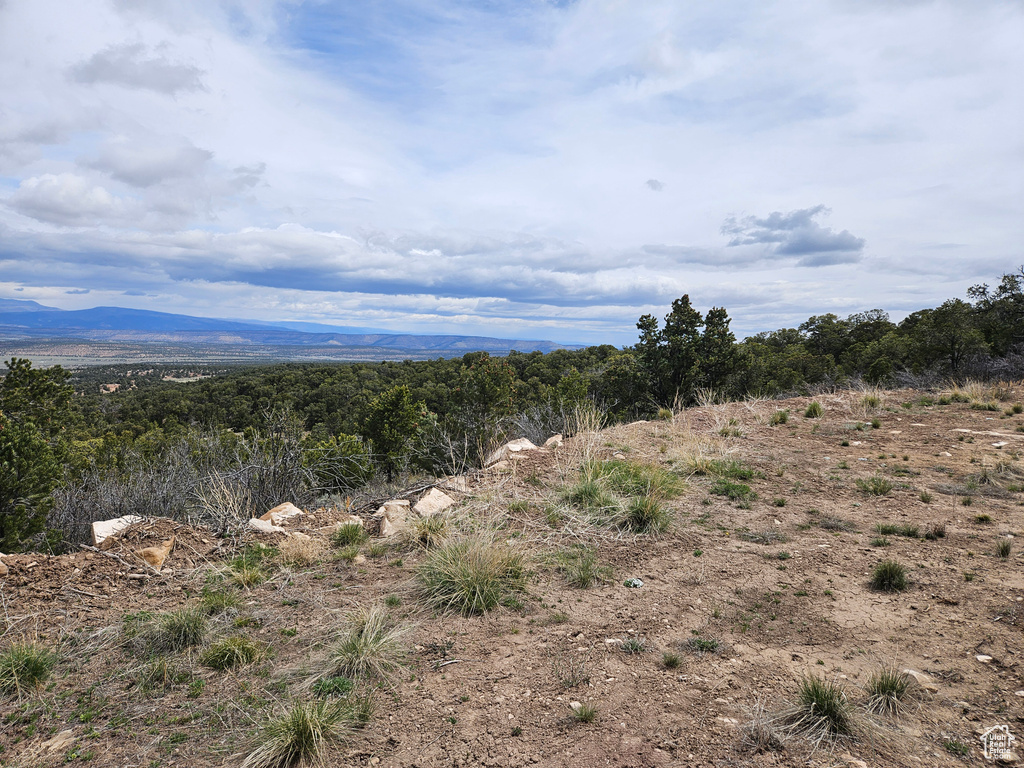 View of local wilderness with a mountain view