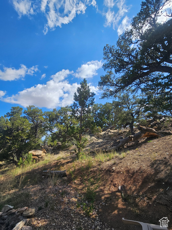 View of nature